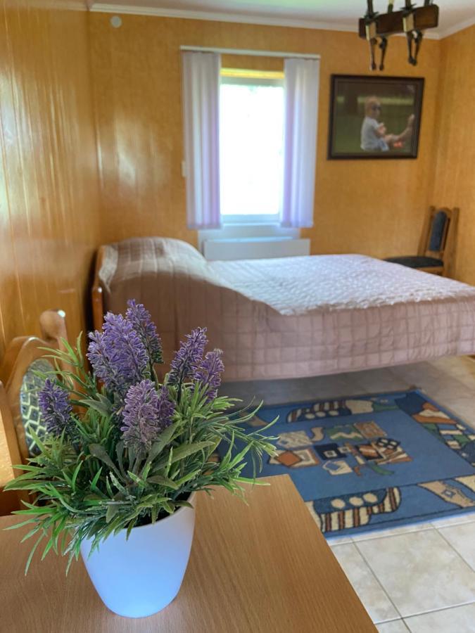 Constancia Hotel Kamjanets-Podilsky Buitenkant foto