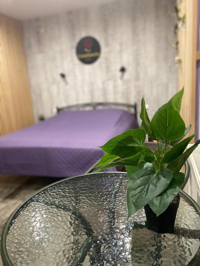 Constancia Hotel Kamjanets-Podilsky Buitenkant foto